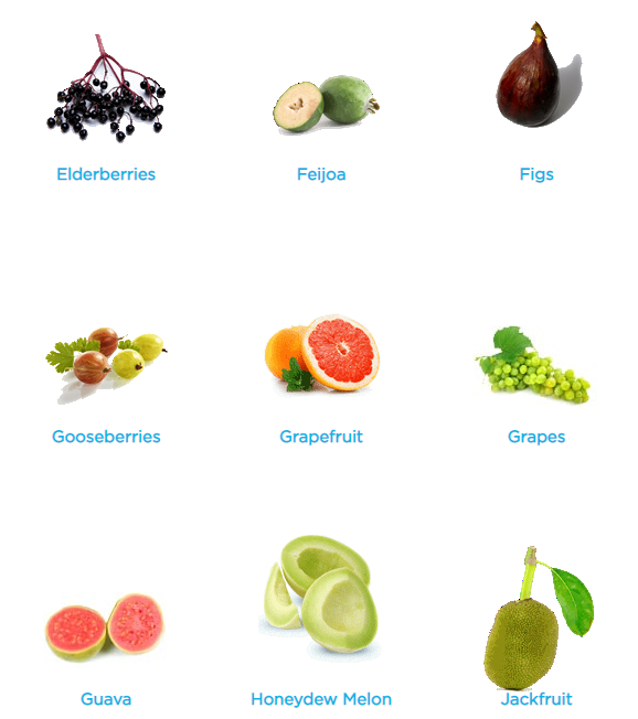 fruits a-z3.png