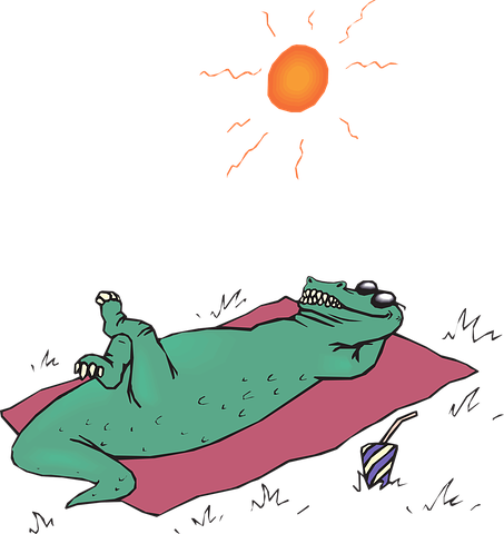 alligator-44595__480.png