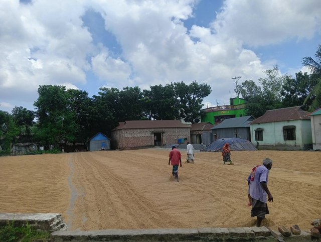 IMG20250818124209.jpg