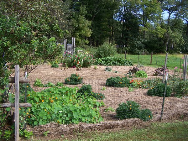 Big garden - finished looking northeast crop Sept. 2018.jpg