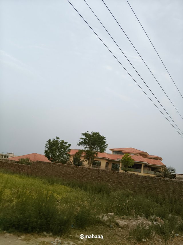 1000047510.jpg