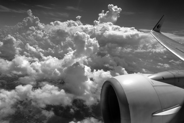 _DSC3485-Edit.jpg