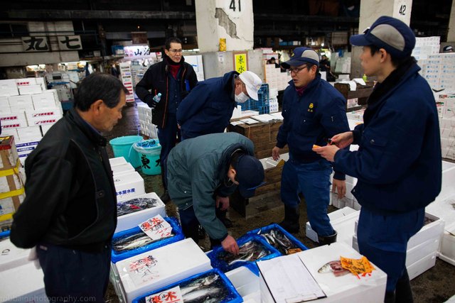 Photo+3.+Workers+talking+next+to+boxes+of+fish15.jpg