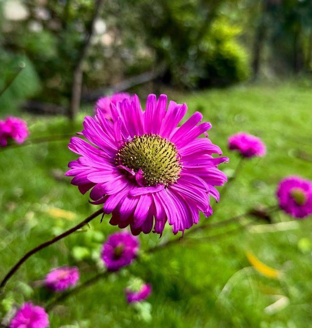 IMG_20250912_195507.jpg
