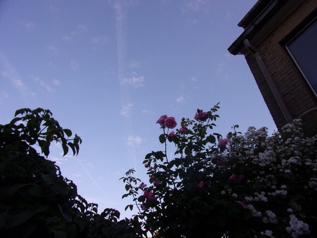 100_2691.JPG