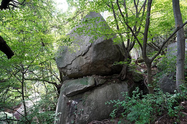 b-250723-111800.jpg