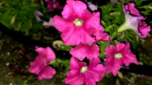 20241211_025815.jpg