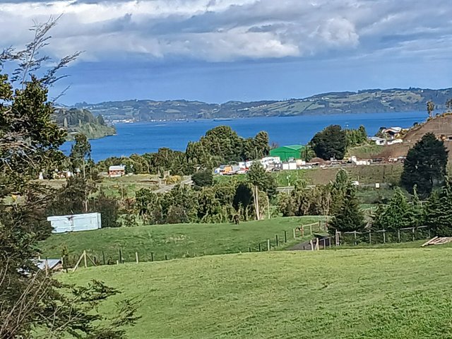20250921_170216.jpg