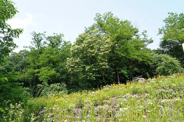 b-DSC07750.JPG