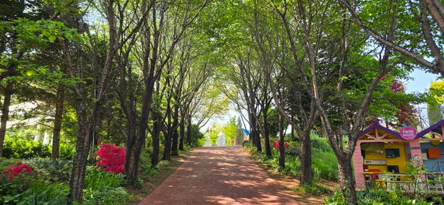 KakaoTalk_20250503_015433814_09.jpg