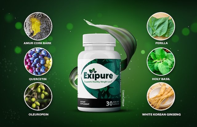 exipure_ingredients_.jpg