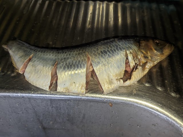 1000910301.jpg