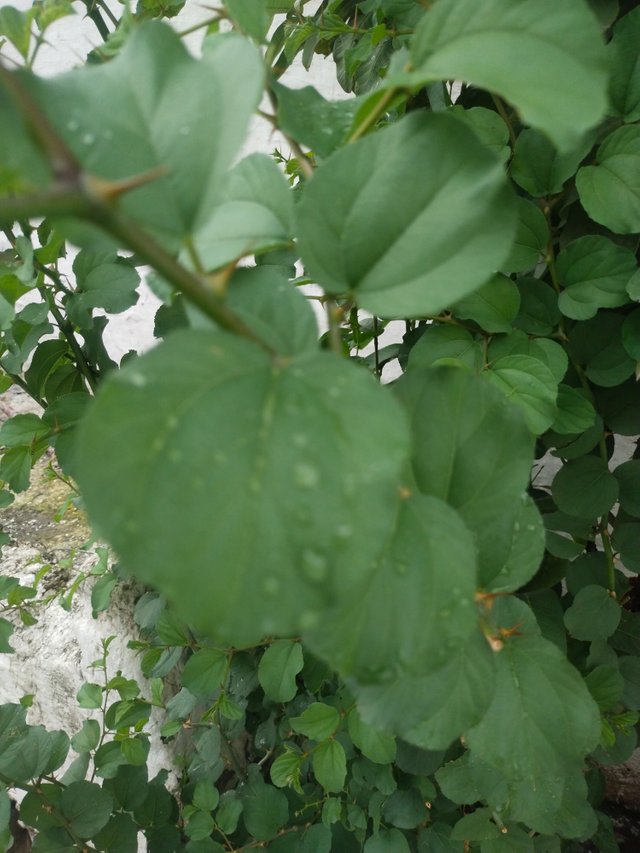 IMG_20250823_165430.jpg