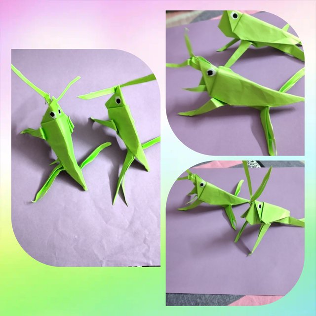 photocollage_2025324473482.jpg