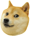 doge