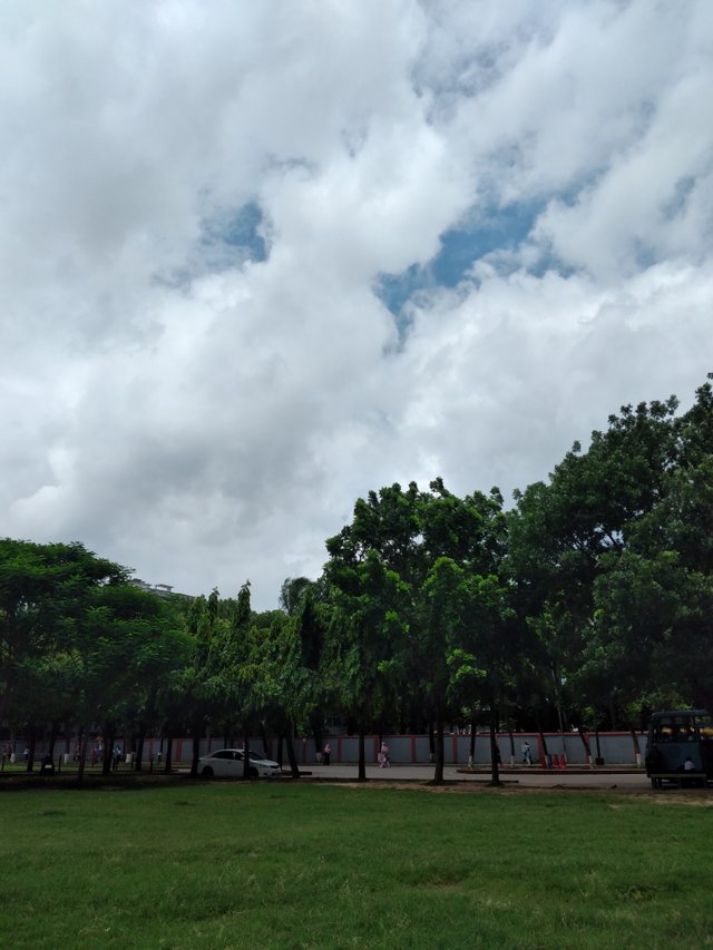 20250626_105456.jpg