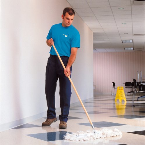 floor-cleaner-500x500.jpg