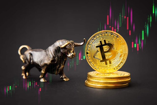 Expect-the-next-Bitcoin-bull-run-in-a-year-says-professional-investor-F.-Grummes.jpg