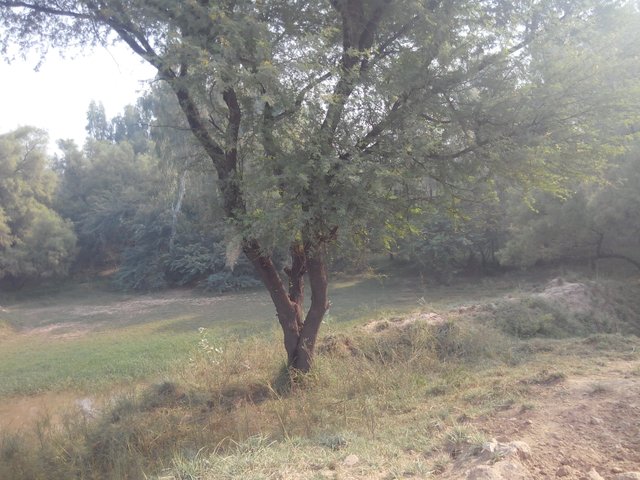 IMG_20181025_092733.jpg