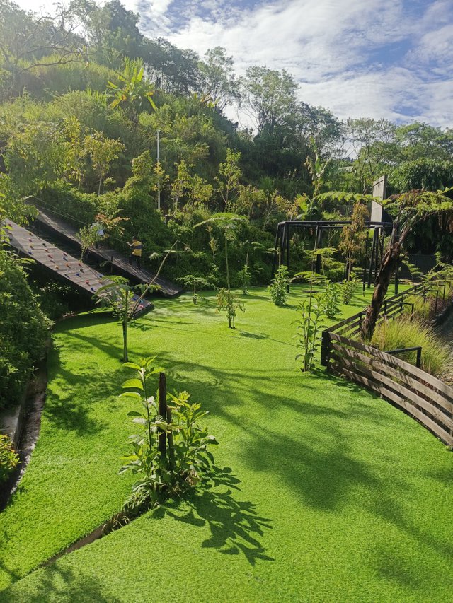 32959.jpg