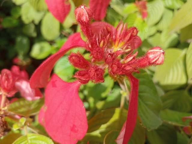 IMG20250616082219.jpg