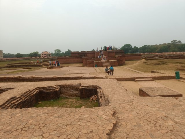 IMG20250404111331.jpg