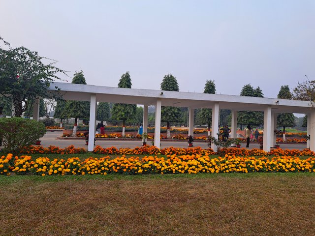 1000015362.jpg