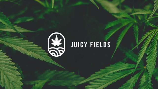 juicy-fields-v3.jpg