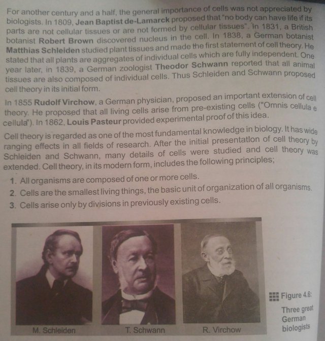 5 scientists who contributed to the cell theory image