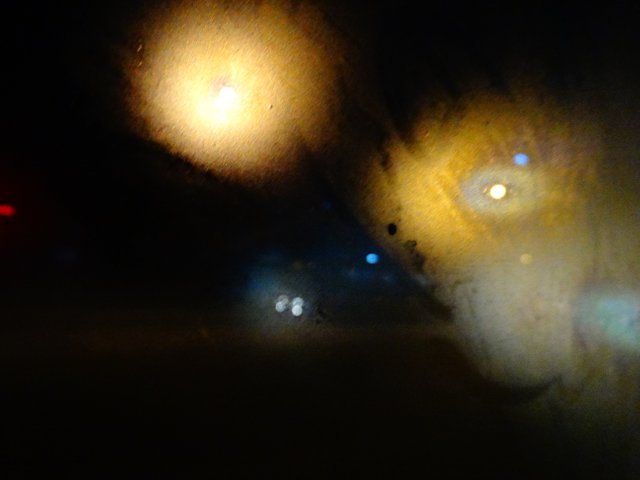 DSC05462.JPG
