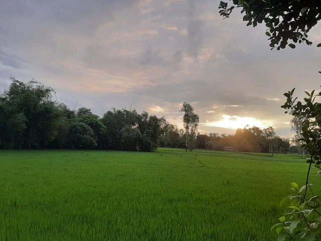 20230924_173952.jpg