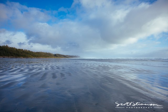 Tofino-1.jpg