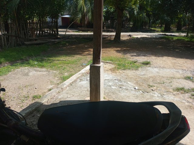 IMG_20250613_100104_785.jpg