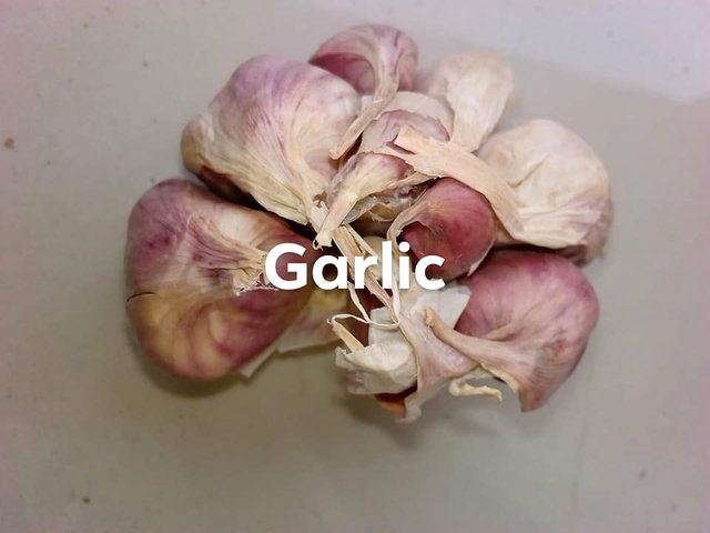 garlic.jpg