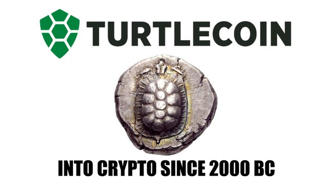 TURTLE COIN WALLPAPER INTO CRYPTO ELREYDELKAOS.jpg