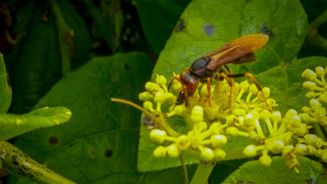 IMG_20250503_110505_614.jpg