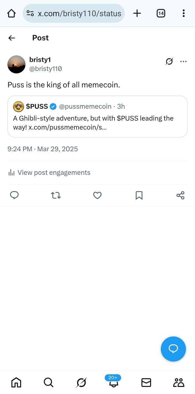 Screenshot_20250329-212415_Chrome.jpg