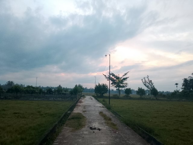 1000187335.jpg