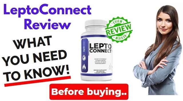 leptoconnect supplement what you need to know before trying 1.jpg