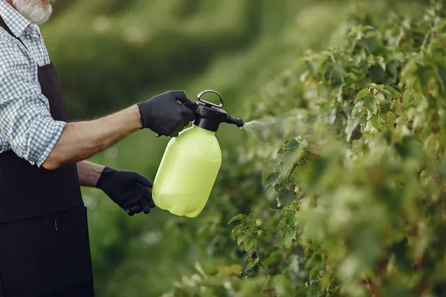 farmer-spraying-vegetables-garden-with-herbicides-man-black-apron_1157-39707.webp