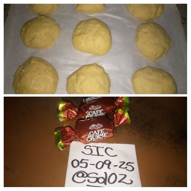 IMG_20250911_084225-COLLAGE.jpg