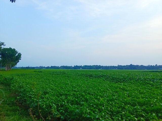IMG_20250522_200116.jpg