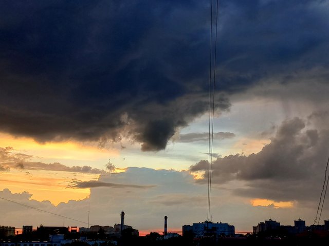 1000063041.jpg