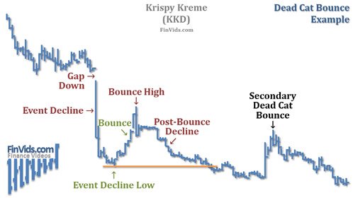 mo-hinh-gia-dead-cat-bounce-dcb-cu-nay-meo-chet4.jpg