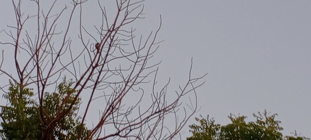 IMG_20250901_183027_279.jpg