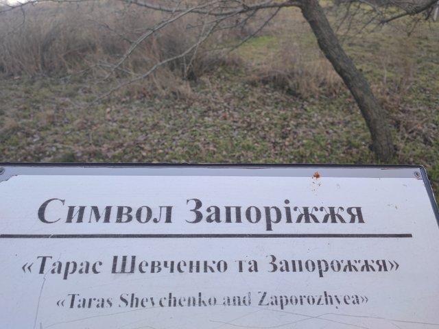 1000313894.jpg