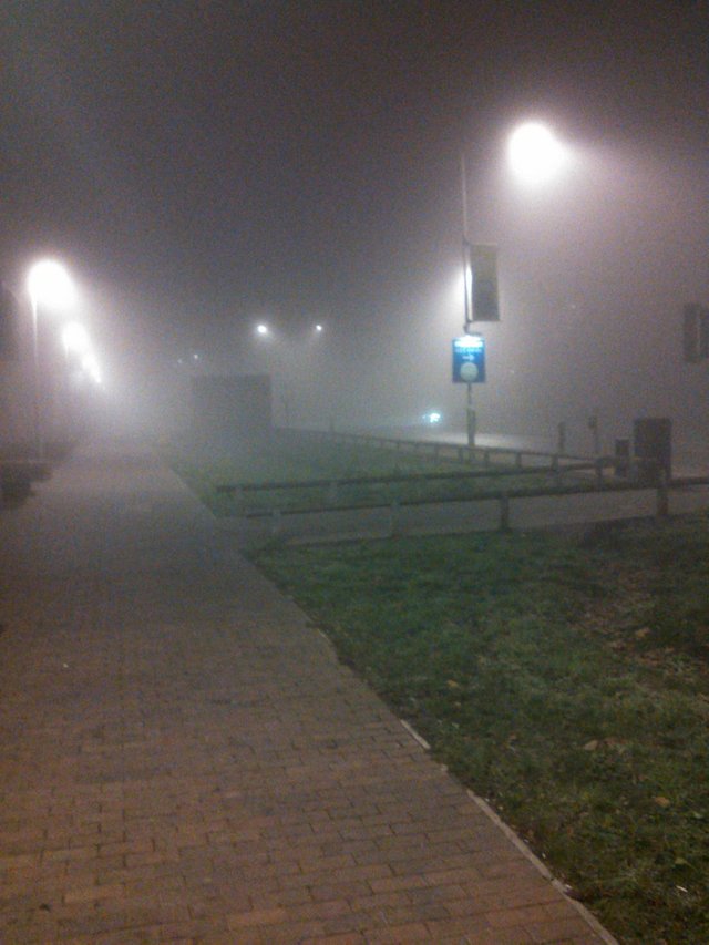 Thickest Fog Night Ever Captured Jan 22 2017.jpg