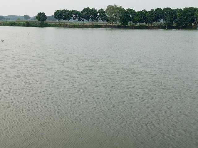 IMG_20250421_170803_248.jpg