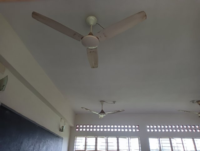 IMG20250724173711.jpg