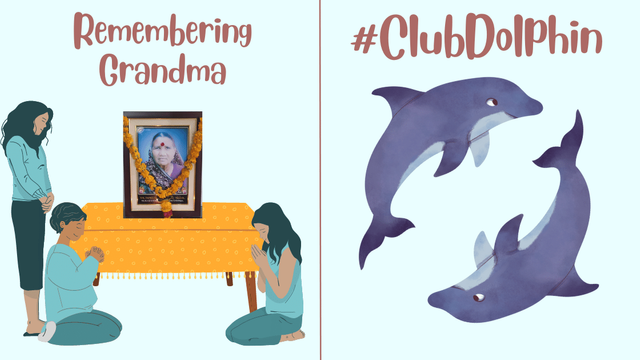 #clubdolphin.png